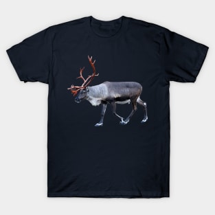 Santa Claus Reindeer T-Shirt